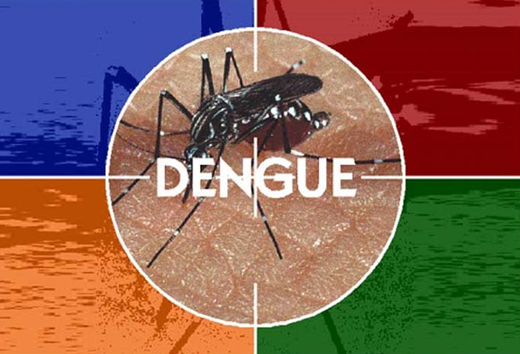 dengue awareness